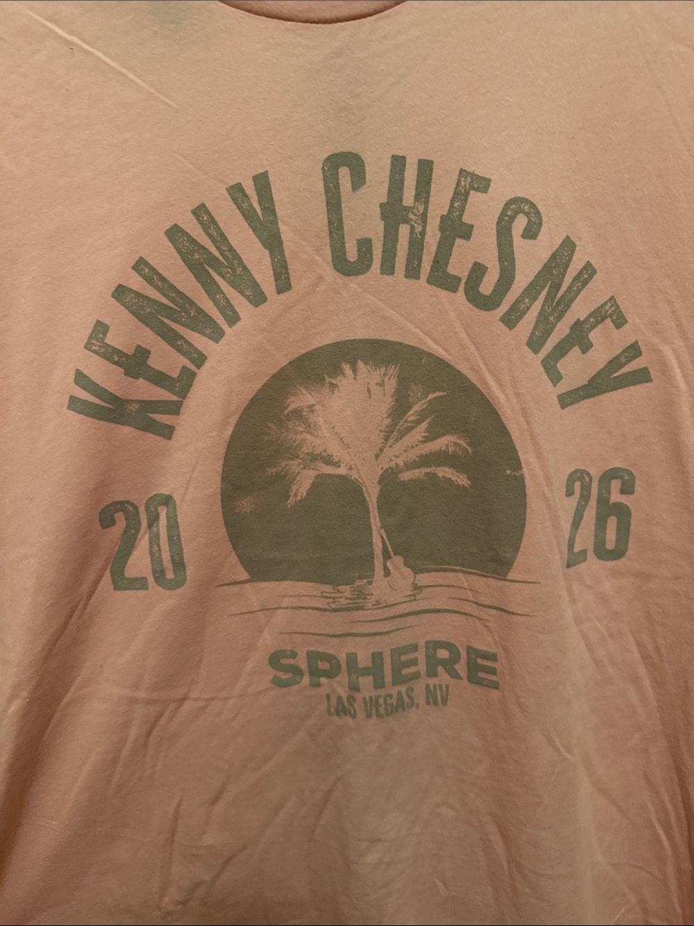Gildan Soft Pink Tee with Grey Palm Graphic